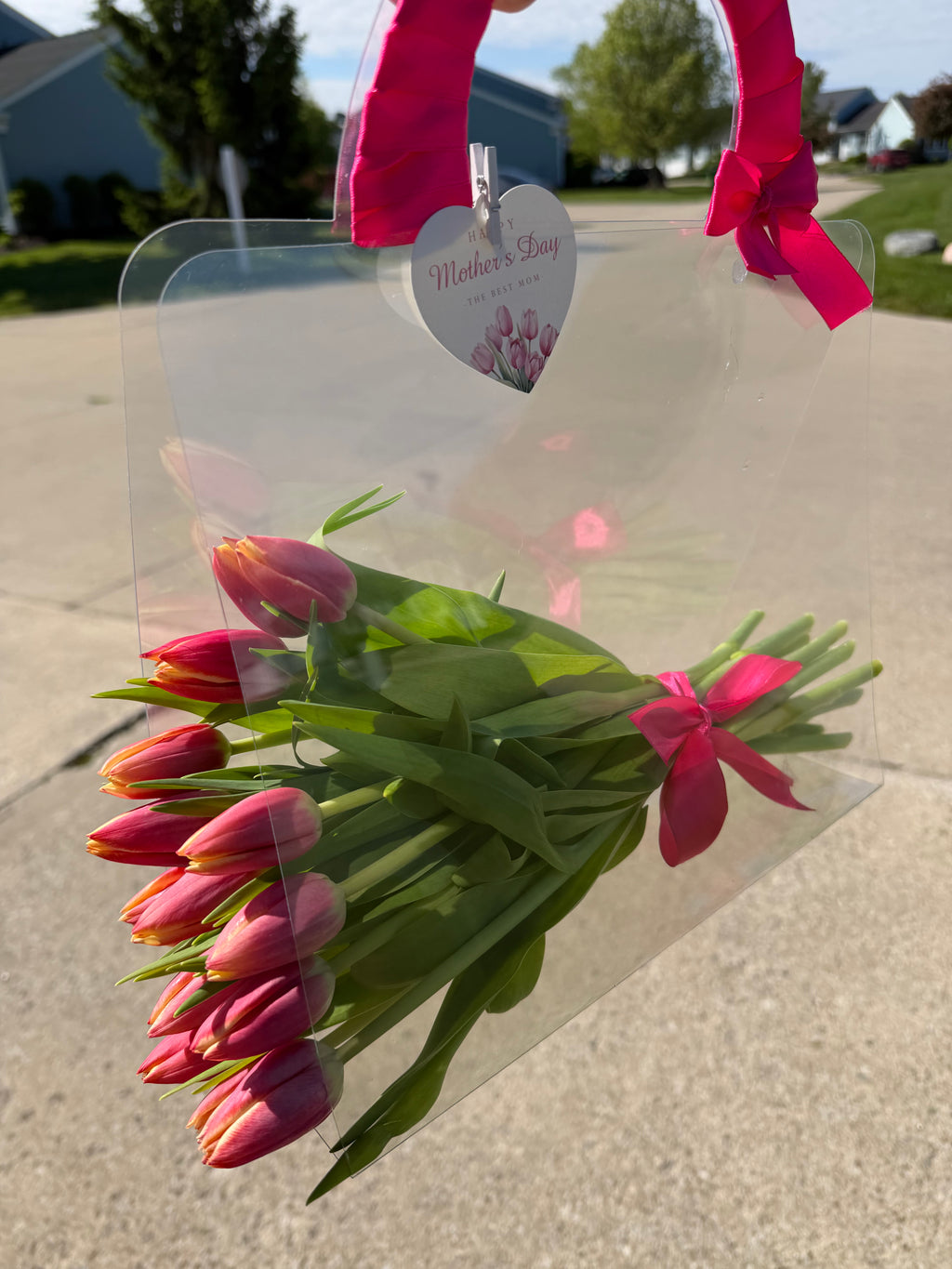 Luxury Tulips in Signature Clear Bag