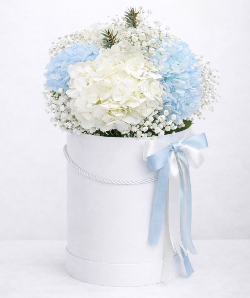 Blue Cloud Hydrangea Flower Box