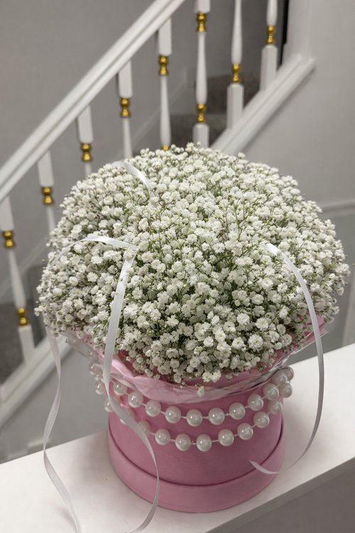 Baby’s Breath Pearl Pink Box