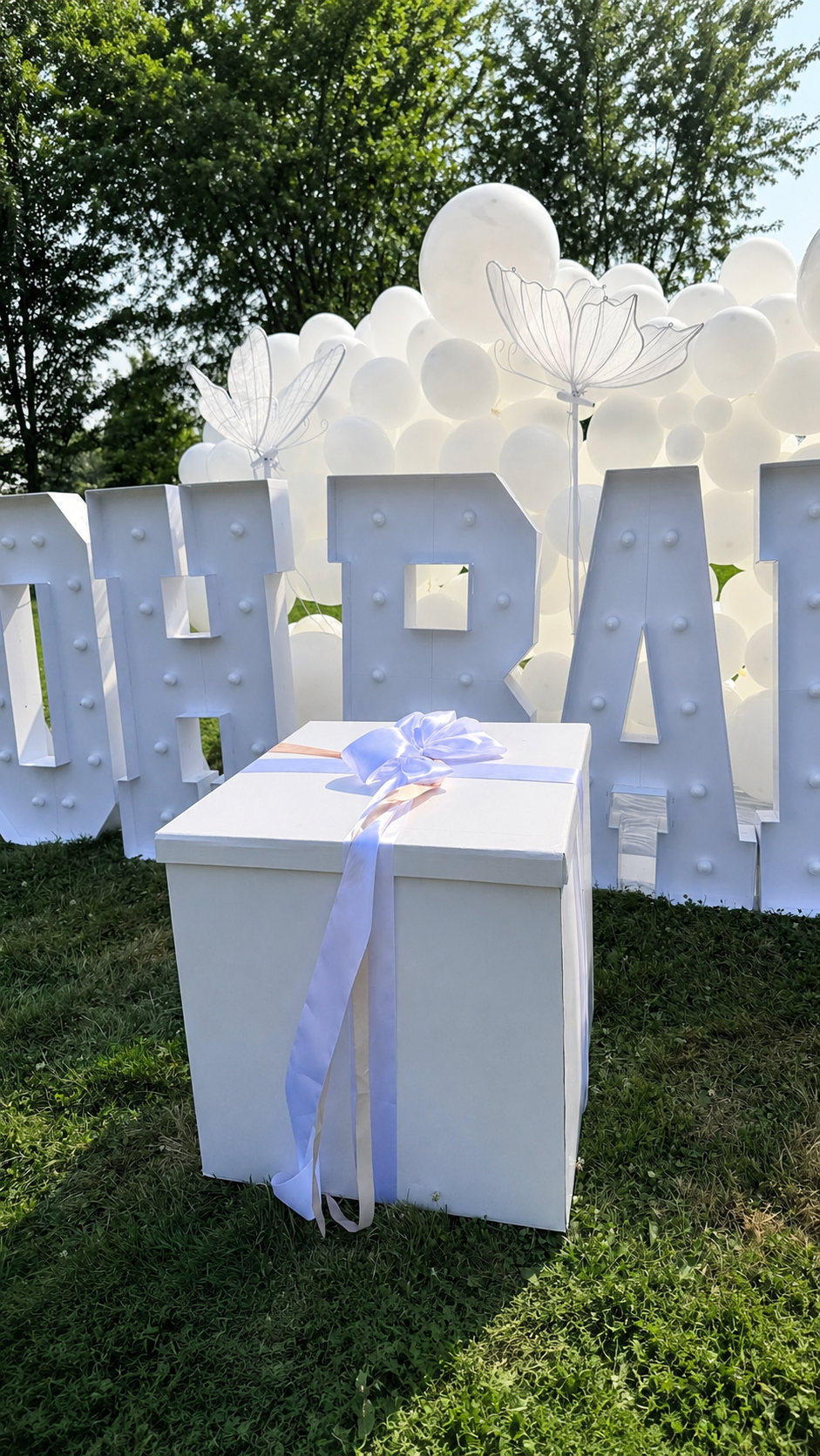 Gender Reveal Balloon Surprise Box