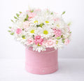 Blush Daisy & Carnation Box