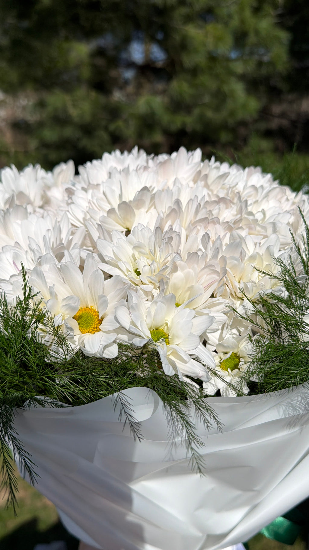 Classic White Daisy Bouquet