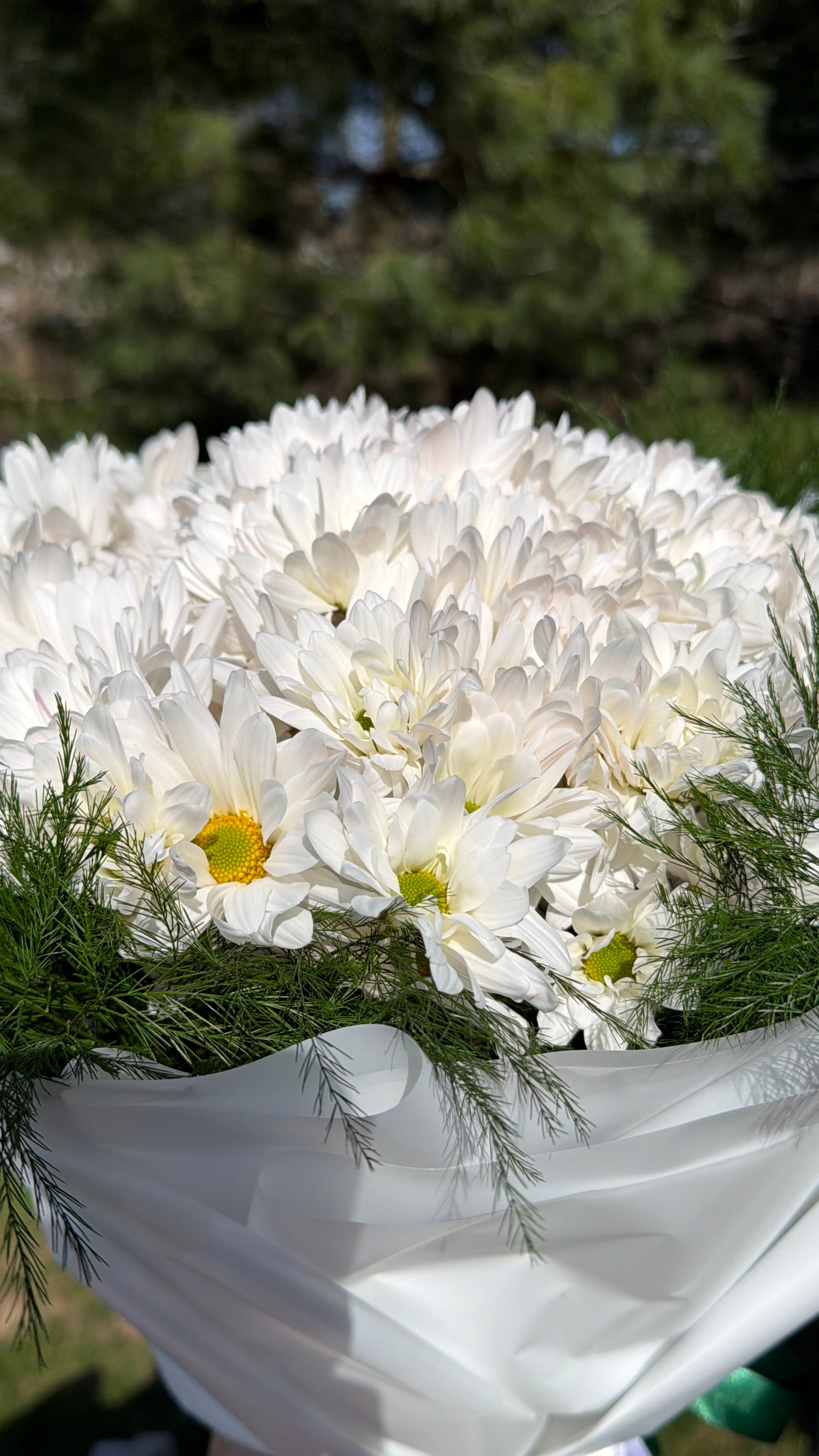 Classic White Daisy Bouquet