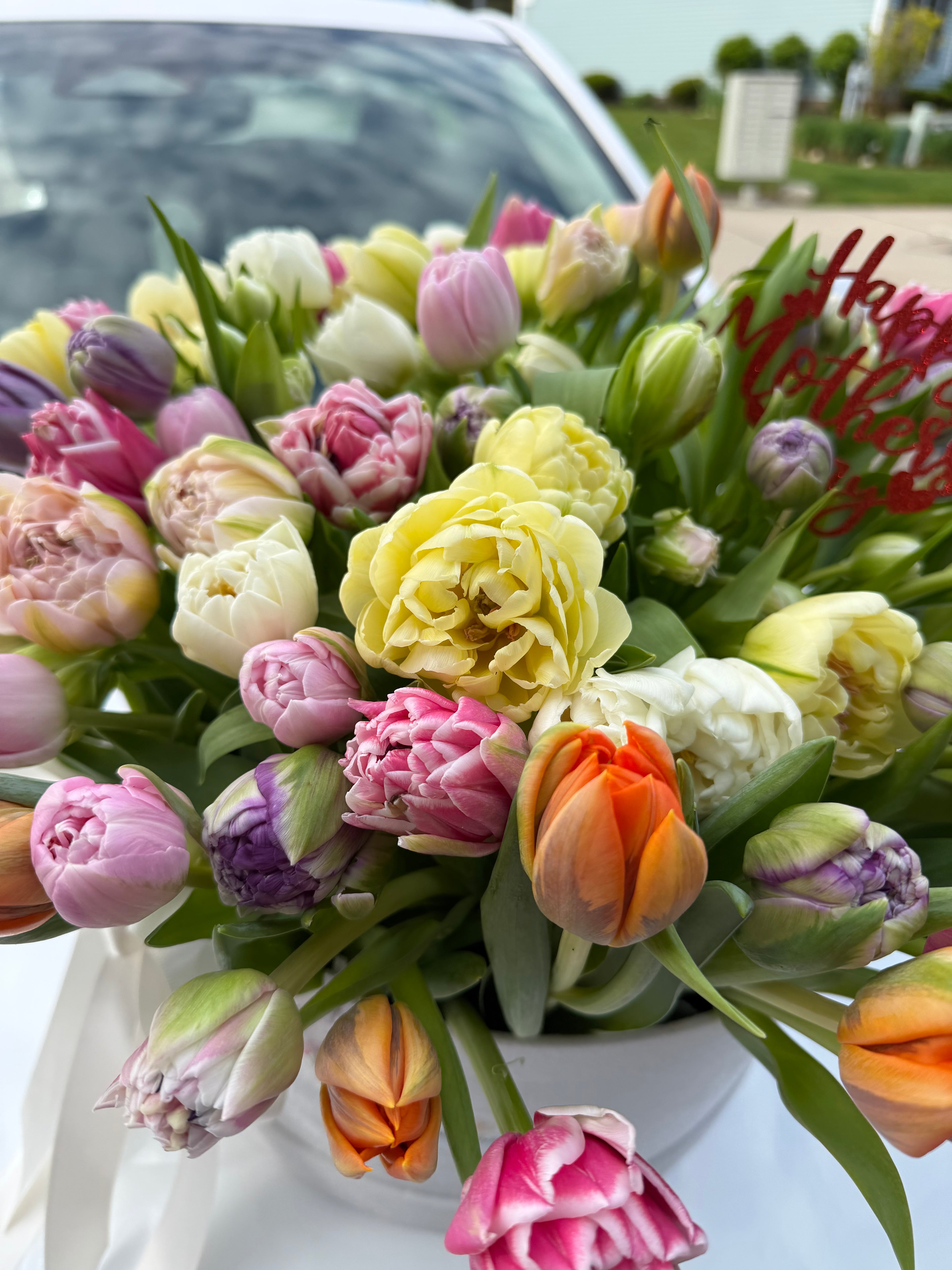 XXL Tulip Garden Box