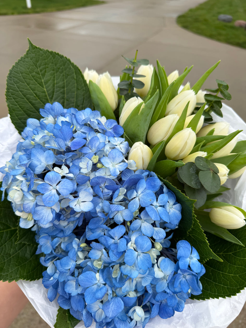 Blue Hydrangea & White Tulips Bouquet