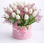 White Tulip Elegance